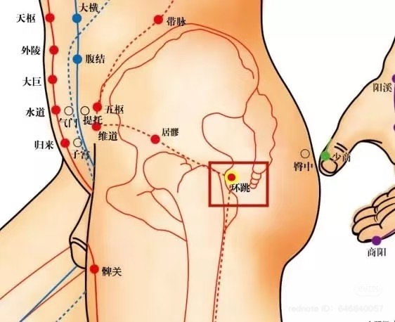 Acupuncture for Weight Loss: A Natural and Holistic Approach
