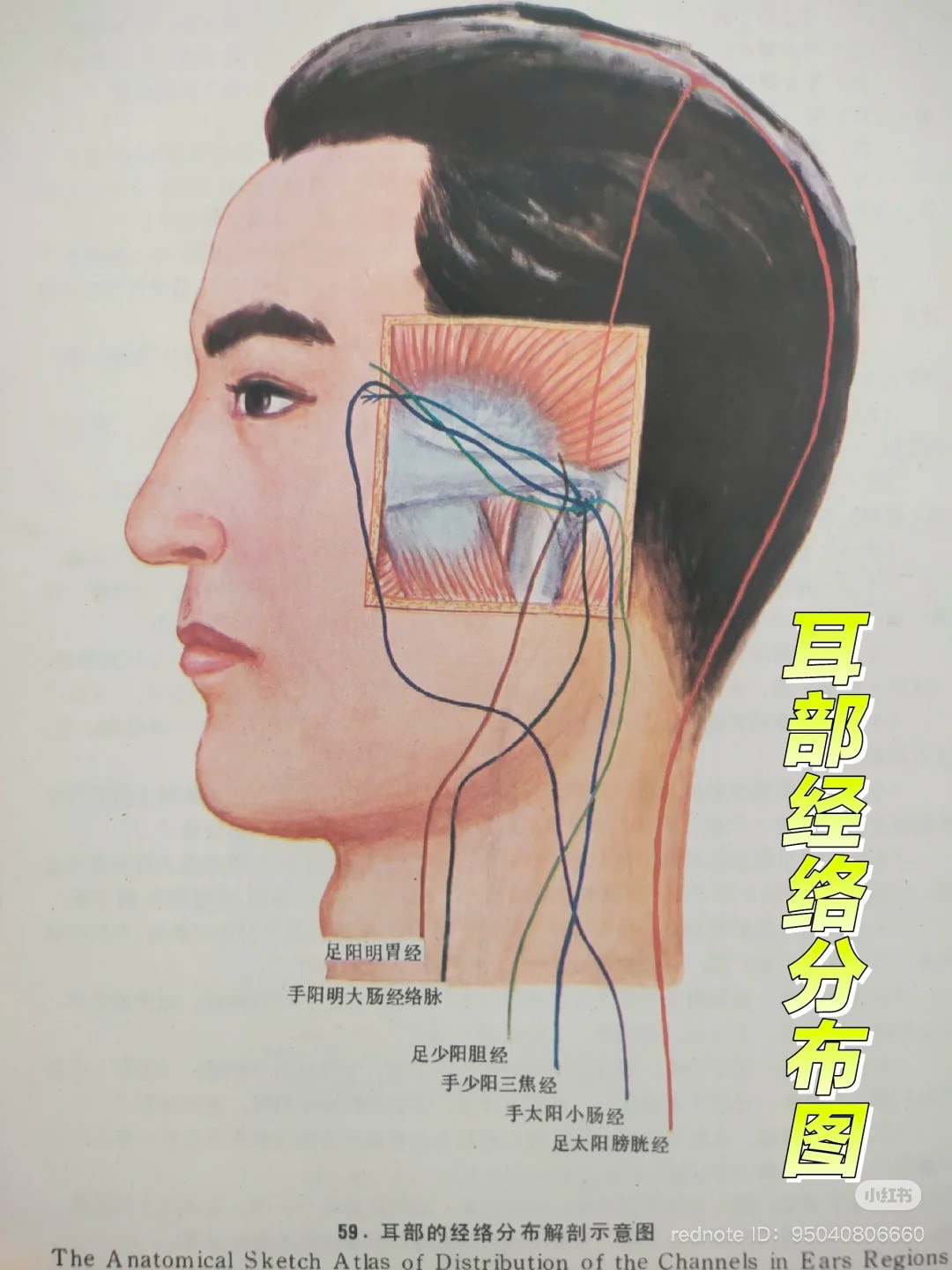 How Acupuncture Helps Improve Sleep and Insomnia